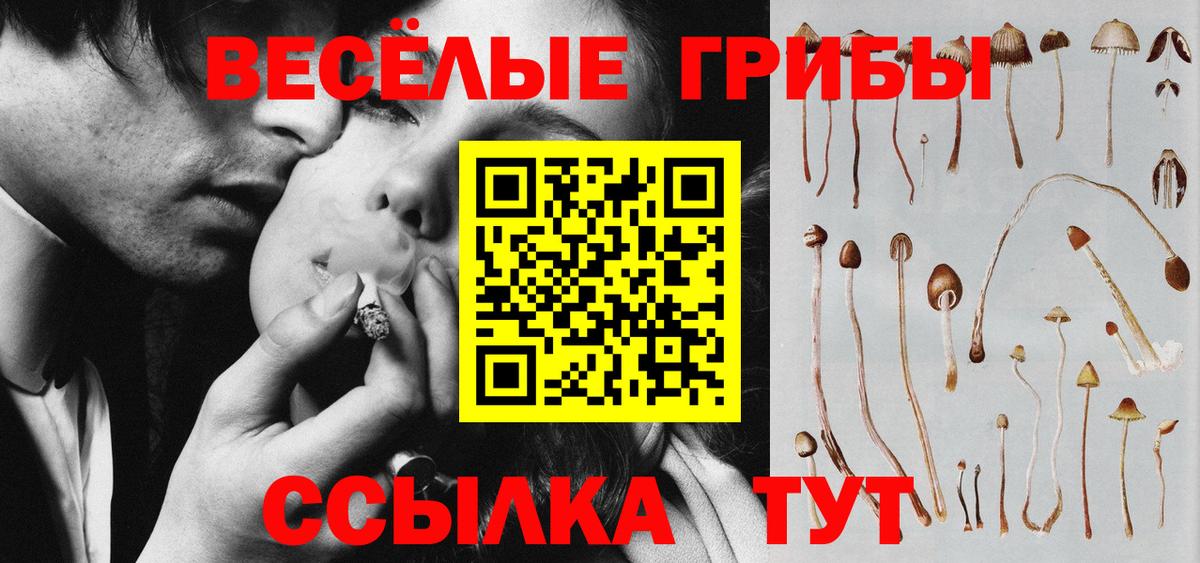Галлюциногенные грибы Magic Shrooms  Галлюциногенные грибы Magic Shrooms  Вход с VPN  Минеральные Воды 